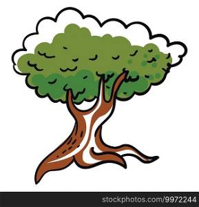 Oak tree, illustration, vector on white background