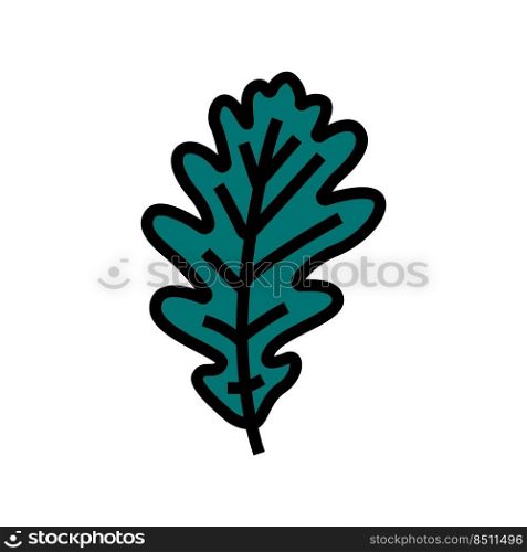oak tree leaf color icon vector. oak tree leaf sign. isolated symbol illustration. oak tree leaf color icon vector illustration