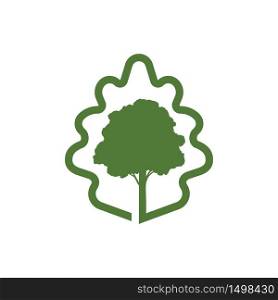 Oak Tree Leaf Elegant Green nature Symbol
