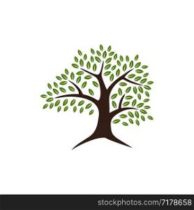 Oak Tree Logo Template Illustration Design. Vector EPS 10.