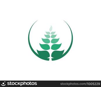 oat meal logo and symbols