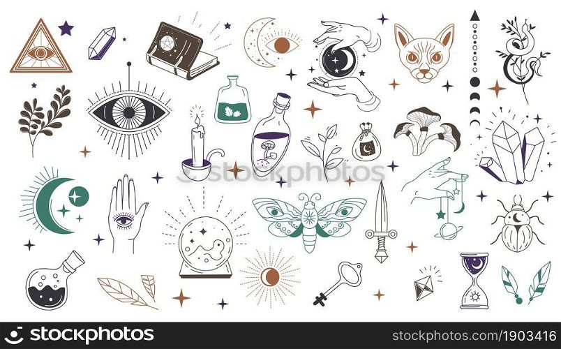 Occultism and mystic symbols, isolated eye and triangle, herbs and magic books, potions and animals. Spirituality or religion, labels and emblems in minimalist and sketch art. Vector in flat style. Mystic symbols and occult wisdom signs vector