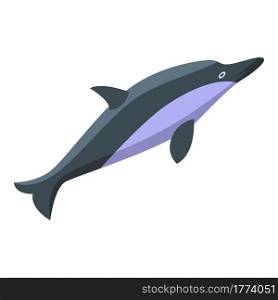 Ocean dolphin icon. Isometric of Ocean dolphin vector icon for web design isolated on white background. Ocean dolphin icon, isometric style