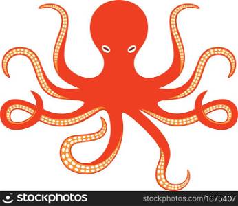 Octopus and tentacles