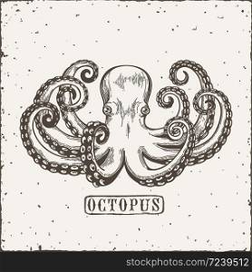Octopus engraving. Vintage black engraving illustration. Retro style card. Isolated on white background. Vector illustration. Octopus engraving. Vintage black engraving illustration. Retro style card. Isolated on white background.