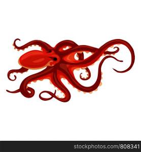 Octopus icon. Cartoon of octopus vector icon for web design isolated on white background. Octopus icon, cartoon style