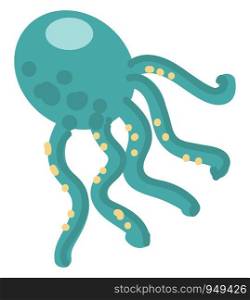 Octopus illustration vector on white background