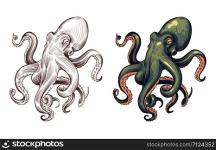Octopus. Seafood sea animal squid with tentacles cartoon and hand drawn style. Octopuses vector set of squid and octopus, ocean animal illustration. Octopus. Seafood sea animal squid with tentacles cartoon and hand drawn style. Octopuses vector set