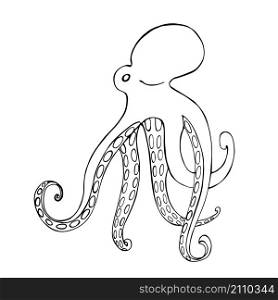 Octopus. Vector sketch illustration.