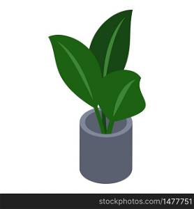 Office plant pot icon. Isometric of office plant pot vector icon for web design isolated on white background. Office plant pot icon, isometric style
