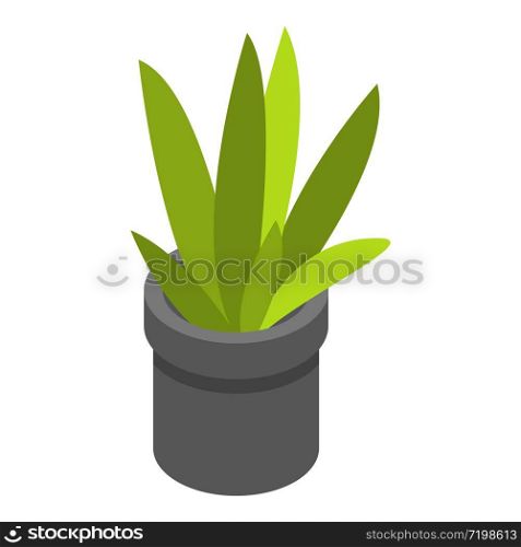 Office plant pot icon. Isometric of office plant pot vector icon for web design isolated on white background. Office plant pot icon, isometric style