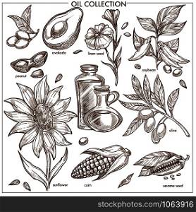 Oil collection of natural ingredients. Exotic avocado, fresh peanut, linen seed, ripe soybean, blooming sunflower, aromatic sesame, olive branch and corn from field monochrome vector illustrations.. Oil collection of natural ingredients. Exotic avocado, fresh peanut