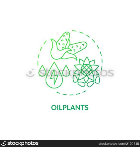 Oilplants green gradient concept icon. Biomass energy source on farm abstract idea thin line illustration. Residue from agriculture. Isolated outline drawing. Roboto-Medium, Myriad Pro-Bold fonts used. Oilplants green gradient concept icon