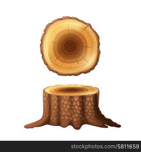 Old cut forest tree stump side drawn and cross section view icons set abstract isolated vector illustration. Tree stump two views icons set