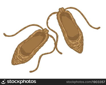 Old footwear for people living in ancient times, isolated natural ecological handmade shoes for feet. Prehistoric culture and manufacture, primitive sandals for men and women. Vector in flat style. Prehistoric shoes made of straw, old footwear