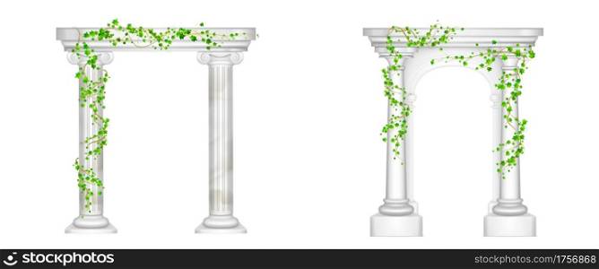 Old greek arch with white marble columns and ivy vines with green leaves. Vector realistic set of 3d ancient roman pillars with climbing plants isolated on white background. Ancient arch with marble columns and ivy vines