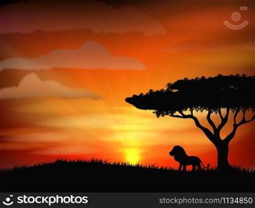 Old lion in sunset light. Vector illustration