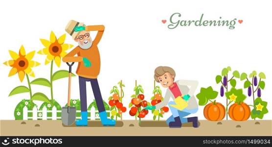 Older people life style vector flat illustration gardening and pleasure enjoyment. Grandpa and Granny in the garden. White isolated background. Older people life style vector flat illustration gardening and pleasure enjoyment. Grandpa and Granny in the garden. White isolated background.