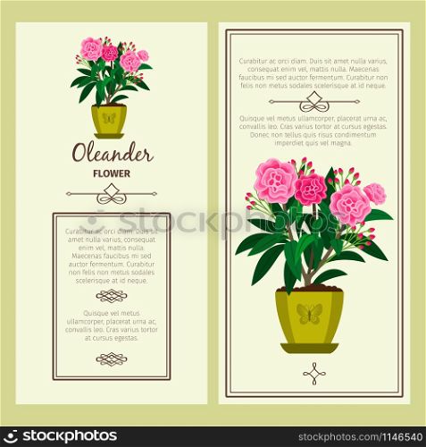 Oleander flower in pot vector advertising banners for shop design. Oleander flower in pot banners