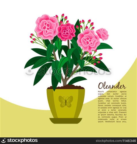 Oleander indoor plant in pot banner template, vector illustration. Oleander plant in pot banner