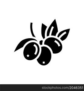 olive berries glyph icon vector. olive berries sign. isolated contour symbol black illustration. olive berries glyph icon vector illustration