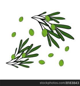 Olive branch green Isolated doodle vector illustration. Concept of healthy food and oil. Object for icon, menu, cover, print, poster, card, web element, card for children.. Olive branch green Isolated doodle vector illustration. Concept of healthy food and oil.