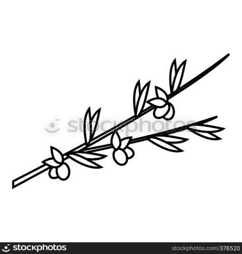 Olive branch icon. Outline illustration of olive branch vector icon for web. Olive branch icon, outline style