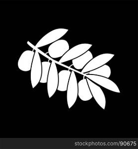 Olive branch it is white icon .. Olive branch it is white icon . Flat style .