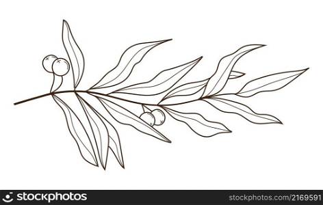 Olive branch vector in doodle, sketch style. Black, minimal single line botanic branch and leaf. Ink, pencil hand drawn olive tree, leaves for wrapper pattern