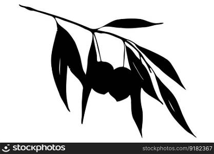 Olive branch with leaves and berries black silhouette isolated on white background. Flat botanical and food element for olive oil, kitchen textile and cafe menu design. Vector illustration.