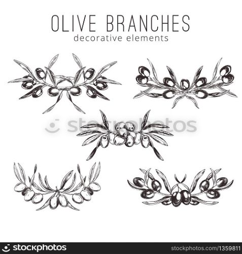 Olive branches, hand-drawn engraving vector illustration. Set of five decorative elements