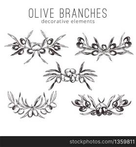 Olive branches, hand-drawn engraving vector illustration. Set of five decorative elements