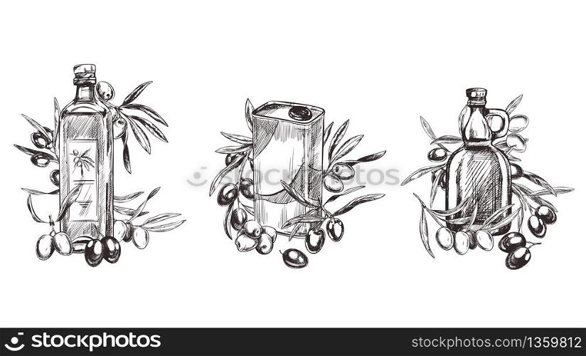 Olive branches, hand-drawn engraving vector illustration. Set of three compositions with olive oil bottles
