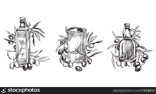 Olive branches, hand-drawn engraving vector illustration. Set of three compositions with olive oil bottles