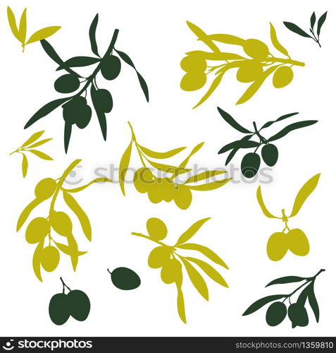 Olive branches, olive oil, flat illustrations, hand drawn silhouettes of olive tree fruits
