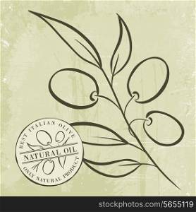Olive Branches over gray background. Vector illustration.