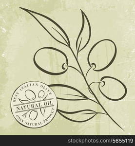 Olive Branches over gray background. Vector illustration.