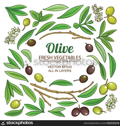 olive elements vector set. olive elements vector set on white background