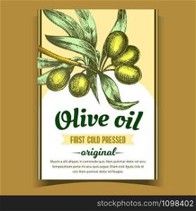 Olive Extra Virgin Organic Product Label Vector. Farming Greece Culture And Green Leaves on Bottle Sticker Hand Drawn In Vintage Style. Gastronomy Dietary Oil Promo Template Color Illustration. Olive Extra Virgin Organic Product Label Vector