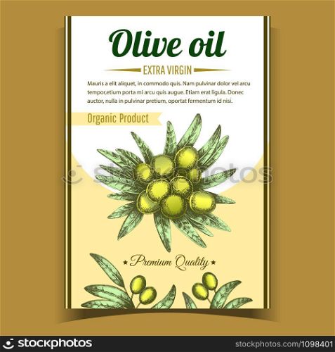 Olive Extra Virgin Organic Product Poster Vector. Agricultural Vegetable And Green Leaves on Center of Advertising Banner In Vintage Style. Gastronomy Dietary Oil Promo Template Color Illustration. Olive Extra Virgin Organic Product Poster Vector