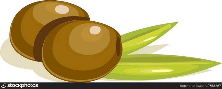 Olive fruit Royalty Free Vector Image