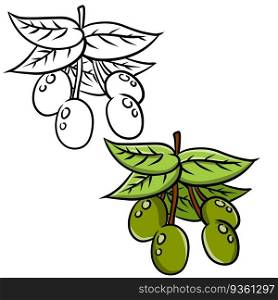 Olive. Green vegetable on branch with leaves. Element of oil and a healthy diet. Cartoon flat illustration isolated on white. Olive. Green vegetable on branch with leaves.