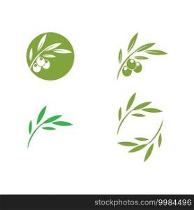 olive illustration logo template vector flat design