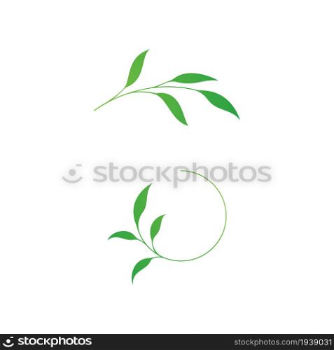 Olive leaf vector illustration design template