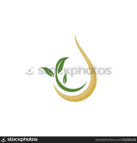 Olive leaf vector illustration design template