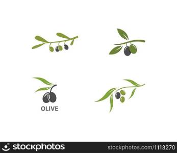 olive logo template vector design