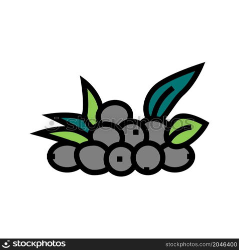 olive natural berries color icon vector. olive natural berries sign. isolated symbol illustration. olive natural berries color icon vector illustration