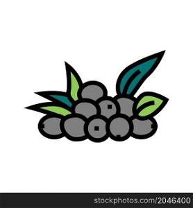 olive natural berries color icon vector. olive natural berries sign. isolated symbol illustration. olive natural berries color icon vector illustration