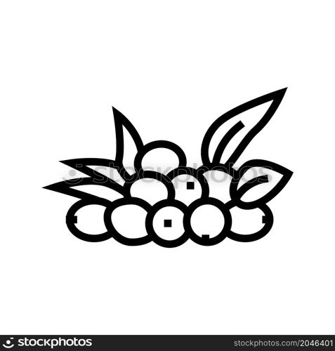 olive natural berries line icon vector. olive natural berries sign. isolated contour symbol black illustration. olive natural berries line icon vector illustration