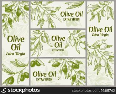 Olive oil banner. Organic oils labels, green olive branches and extra virgin vector label vector illustration set. Engraved plant with leaves for packaging template, sketch branches. Olive oil banner. Organic oils labels, green olive branches and extra virgin vector label vector illustration set